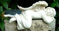 Sleeping Angel